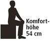 Logo_Komforthoehe_54_cm