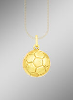 Anh&auml;nger f&uuml;r Fu&szlig;ballfans 