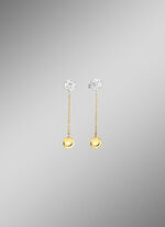 Wunderschöne Ohrstecker in Bicolor 