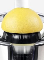 Caso CP300 Zitruspresse für alle Zitrusfrüchte 