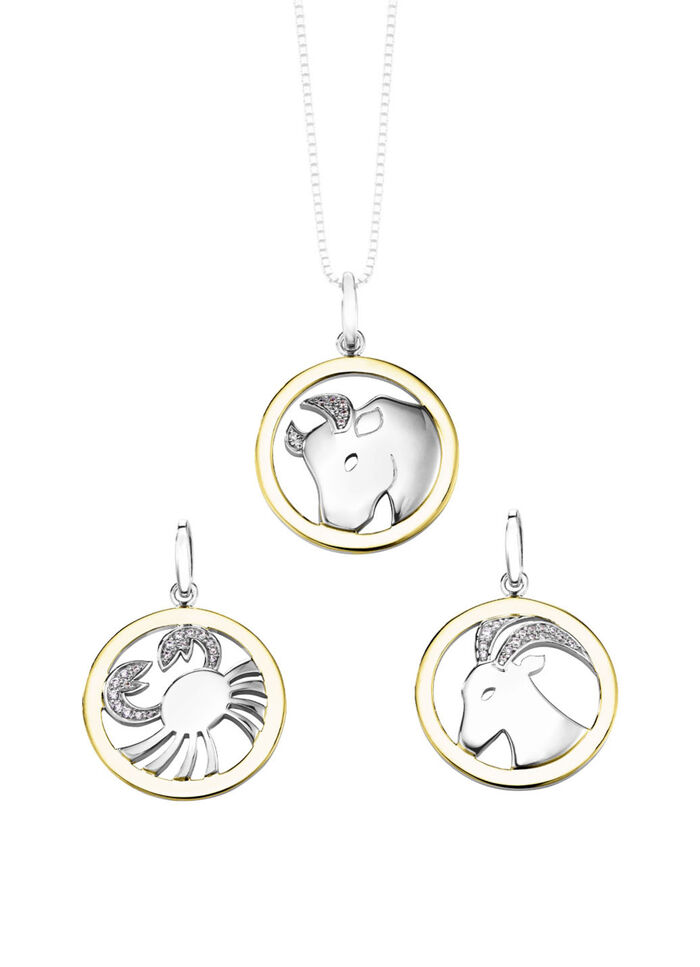 Sternzeichen-Anhänger  