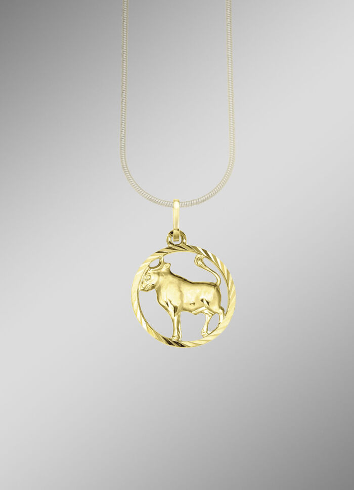 Sternzeichen-Anhänger in Silber 925/- fein 