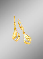 Glänzende Ohrringe mit Diamant 