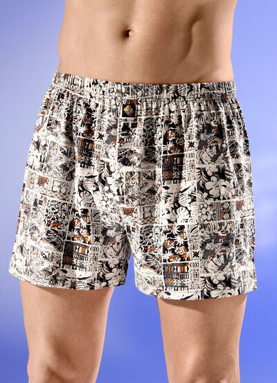 Viererpack Boxershorts mit Alloverdessin 
