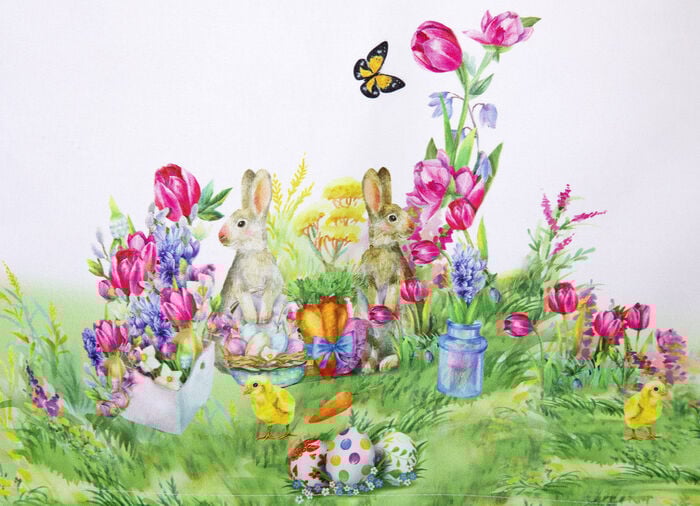 Kurzstore Häschen auf Schmetterlingswiese 