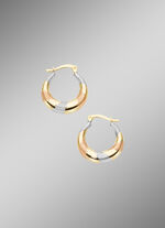 Bezaubernde Creolen in Gold 585/- fein 