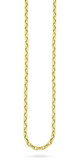 Vierkant-Ankerkette aus Gold 