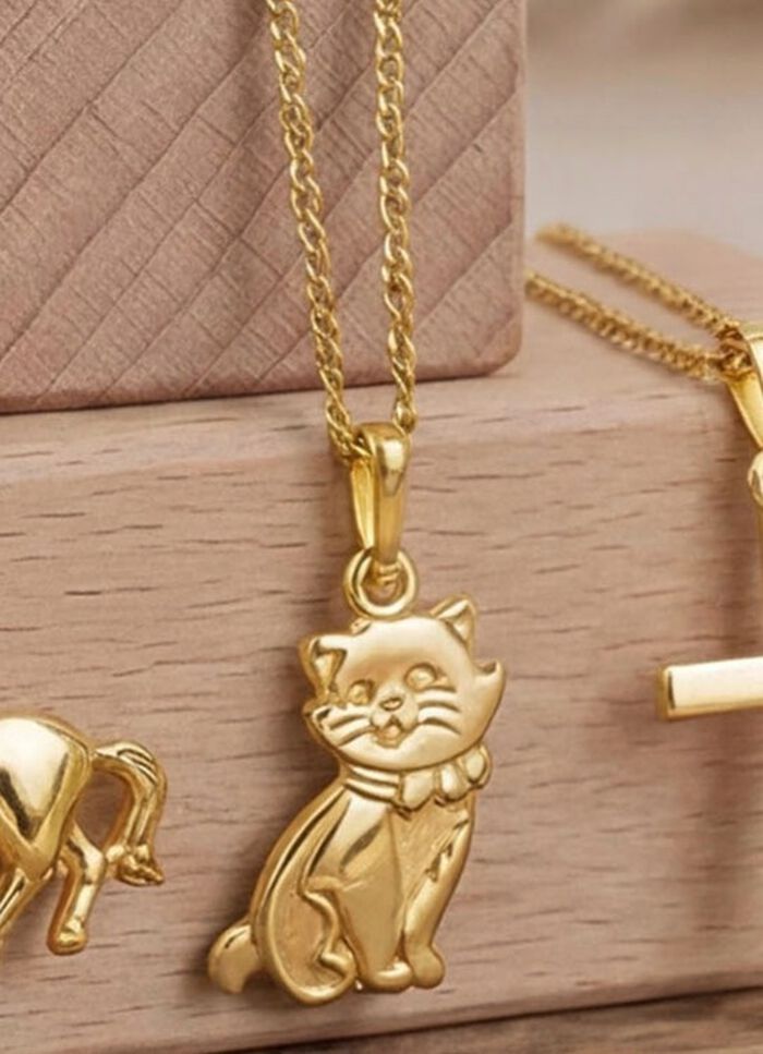 Anh&auml;nger mit Katze 