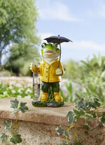 Frosch mit Regenmesser 