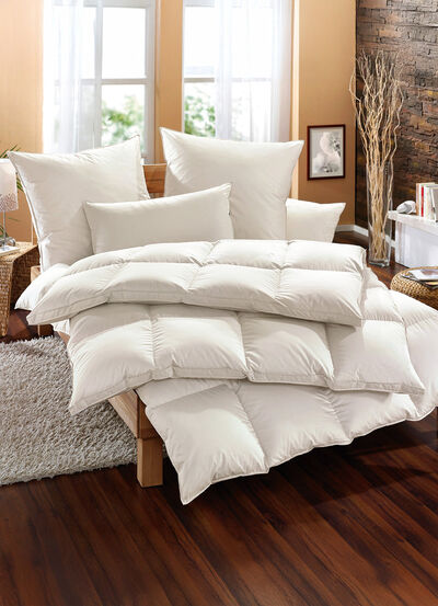 Exklusiver Schlafkomfort: Moschus Royal Bettwarenprogramm von Häussling 