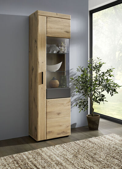 Vitrine mit anthrazitfarbenen Elementen 