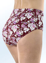 Fünferpack Slips mit Gummizug 