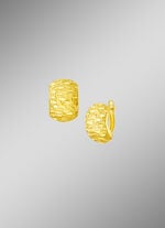 Wundersch&ouml;ne, diamantierte Klappcreolen 