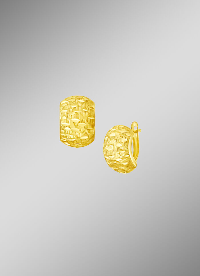 Wundersch&ouml;ne, diamantierte Klappcreolen 