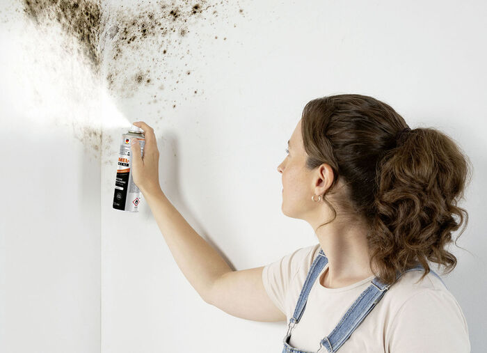 Tonis SCHIMMELSCHOCK 5.1 