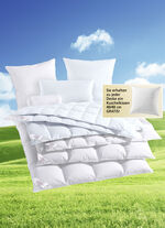 Gänsedaunen-Bettwarenprogramm von Sannwald 