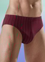 Viererpack Slips mit Streifendessin 