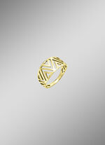 Moderner Damenring aus Gold 