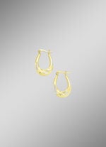 Eleganz und Glanz: Creolen in Bicolor 