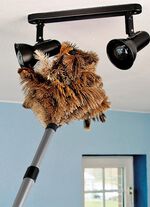 Strau&szlig;enfeder-Staubwedel 