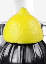 Caso CP300 Zitruspresse für alle Zitrusfrüchte 