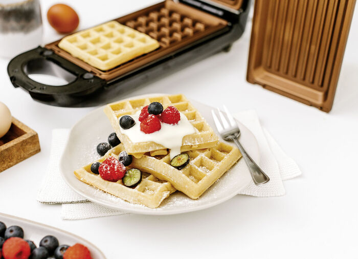 Wendegrill mit automatischer Temperaturregelung 