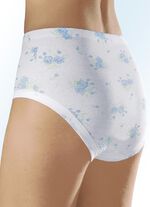 F&uuml;nferpack Slips mit Gummizug im Bund 