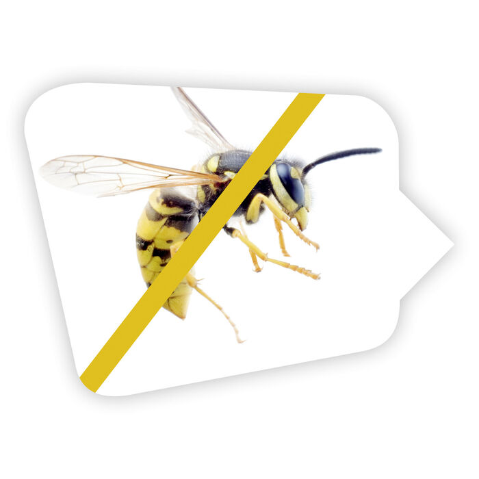 VapoWesp R&auml;ucherbox zum Fernhalten von Wespen 