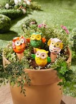 Bew&auml;sserungs-Eulen, 4er-Set 