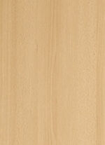 Kühlschrankumbau BUCHE