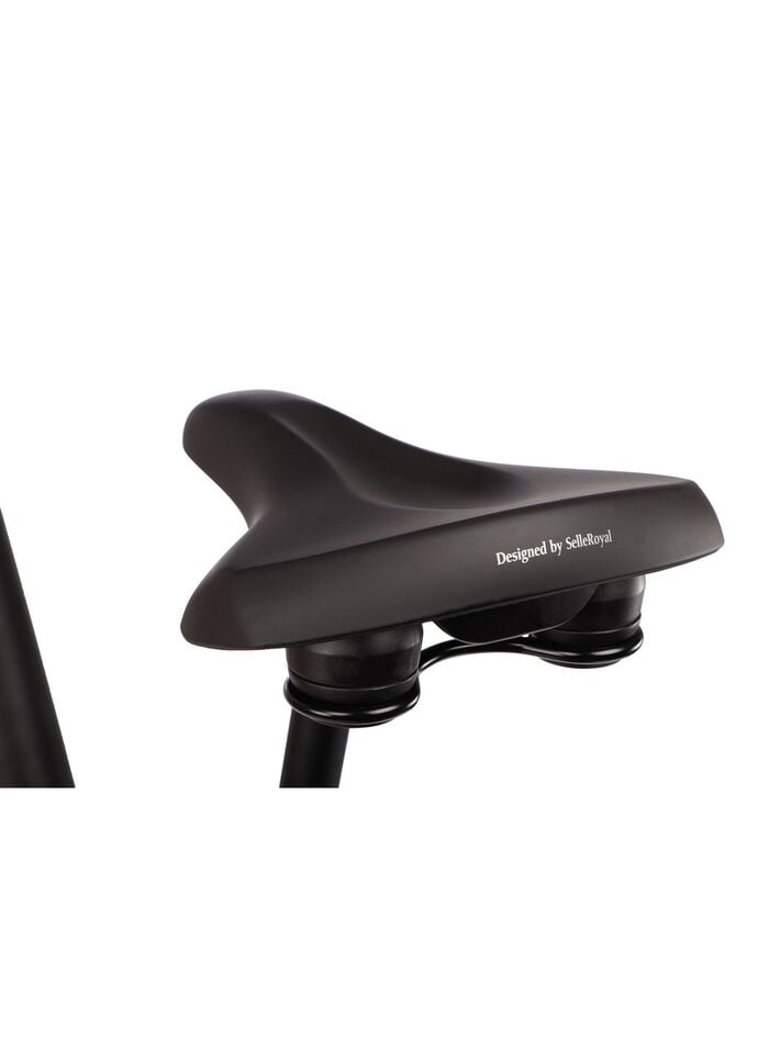 E-Bike Comfort Plus 5.0 von Saxonette 