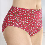 Viererpack Slips mit Blumenmotiv 