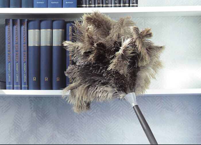 Straußenfeder-Staubwedel BRAUN