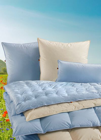 Erstklassige Daunenkissen-Sonderserie aus dem Schwarzwald 