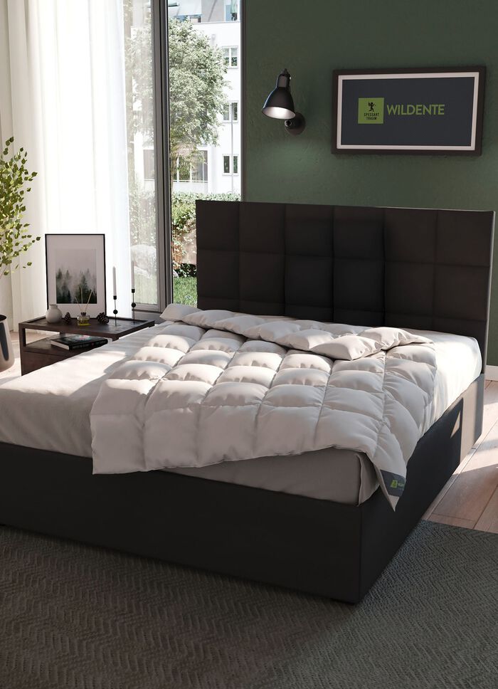 Hochwertiges Wildentendaunen-Bettwarenprogramm von Spessarttraum 