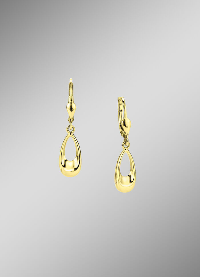 Bezaubernden Ohrhänger 