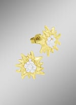 Edelwei&szlig;-Ohrstecker in Bicolor 