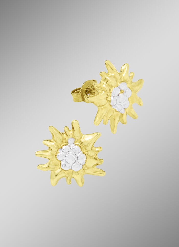 Edelwei&szlig;-Ohrstecker in Bicolor 