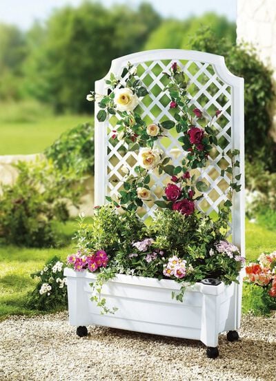 Roll-Pflanzkasten mit Spalier 