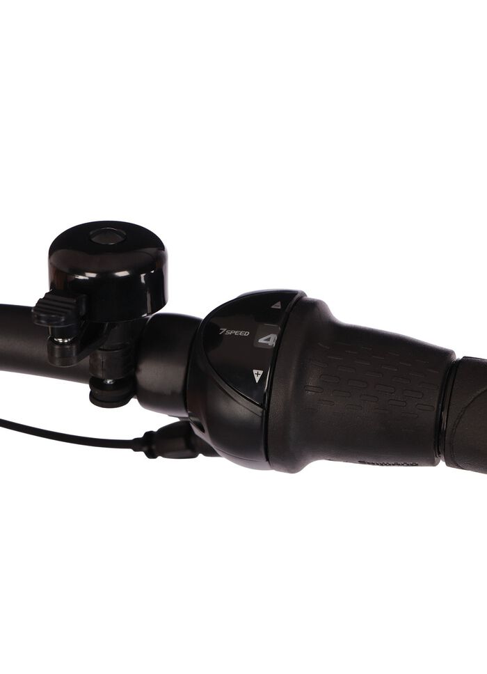 E-Bike Comfort Plus 5.0 von Saxonette 