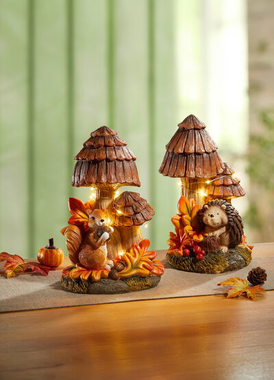 Herbstliche Pilzen, beleuchtet 