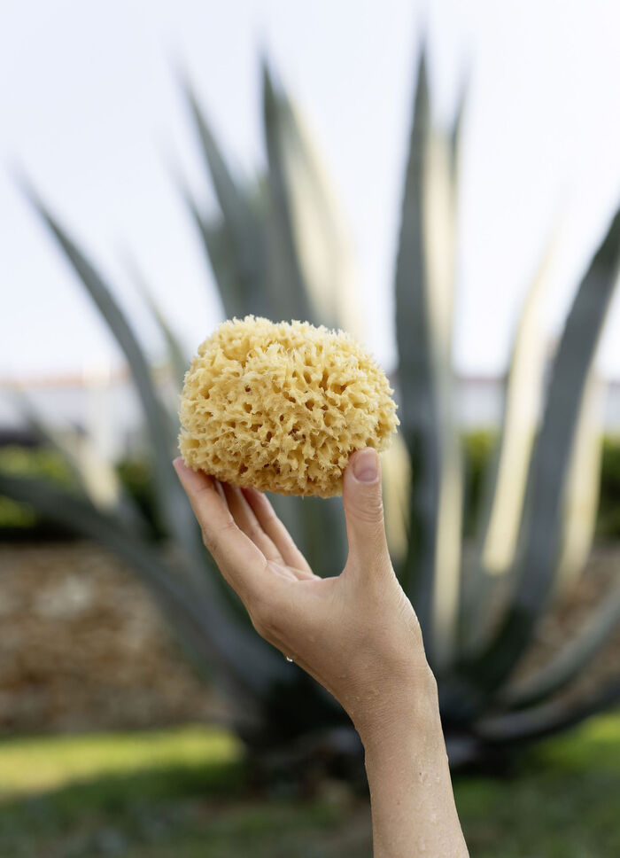 Badeschwamm aus natürlichem Material NATUR