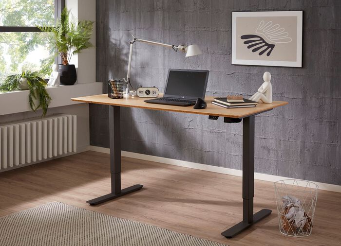 Elektrisch h&ouml;henverstellbarer Schreibtisch 