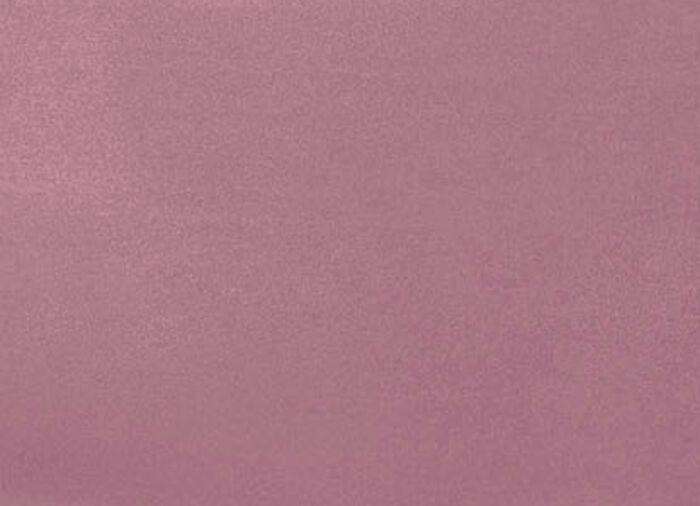 Tierfreundliche Schutzdecken f&uuml;r Sessel und Sofa ALTROSA