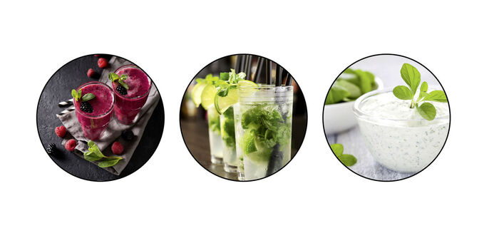 Kraftvoller 300 Watt Standmixer, 8-teilig 