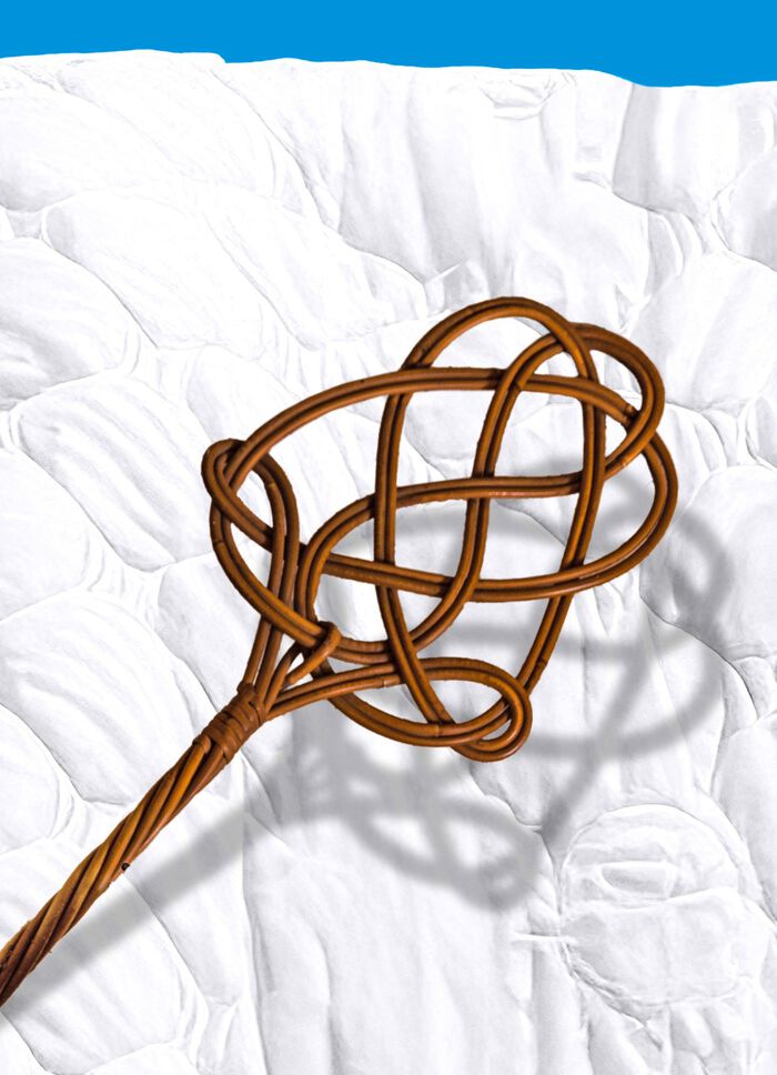 Milbensauger &ndash; vernichtet 99,9% aller Milben, Bakterien und Keime BLAU