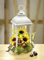 Laterne mit Beleuchtung 