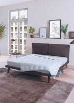 Daunenprogramm Antarktis von Spessarttraum 