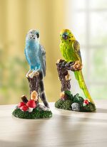 Detailliert gearbeitete Wellensittiche 