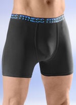 Viererpack Pants mit Elastikbund 